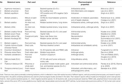 Current Evidence and Future Directions of Berberine Intervention in Depression